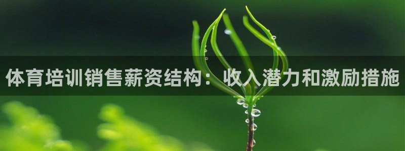 富联平台安装流程：体育培训销售薪资结构：收入潜力和激